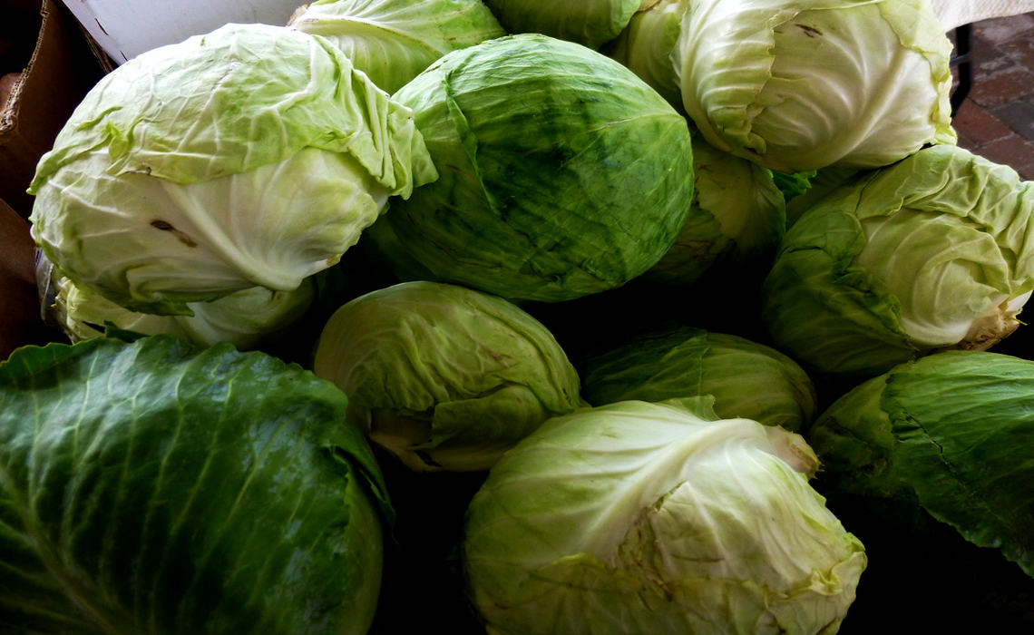 Cabbage [CCBY MikeLicht]