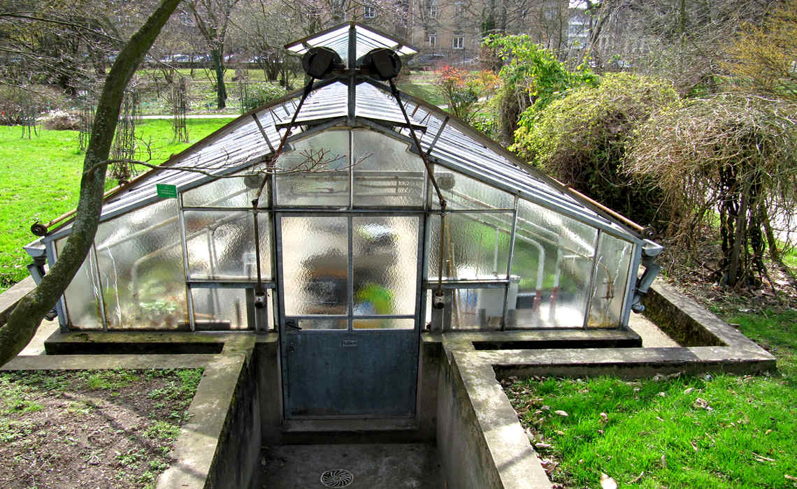 CellarGreenhouse [CCBY francois]